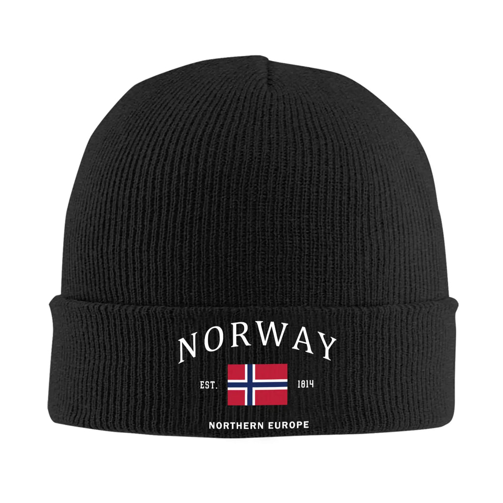 Norwegian Flag Beanie