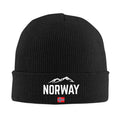 Norwegian Flag Beanie